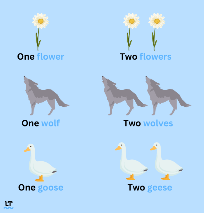 Worksheet featuring singular and plural nouns for third graders learning grammar