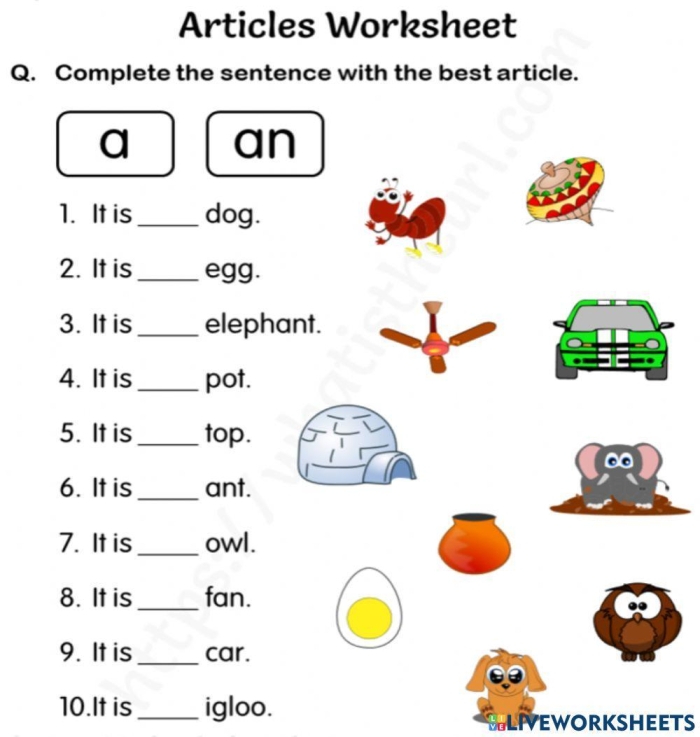Third-grade "A" or "An" worksheet to enhance writing skills Worksheet for teaching the difference between "a" and "an" in English grammar