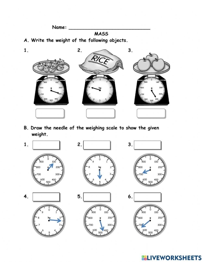 Engaging hands-on activity for understanding metric units of mass Measurement worksheet teaching grams and kilograms for third graders