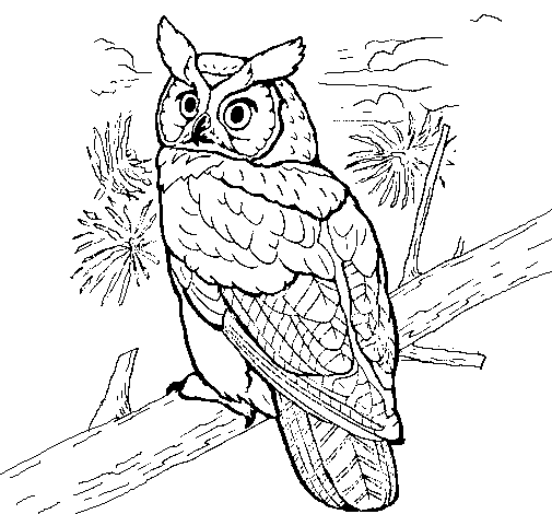 Third grade science worksheet featuring a detailed illustration of a great horned owl in Yellowstone National Park
