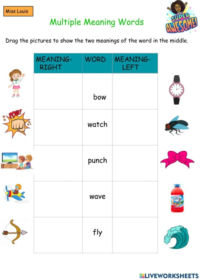 Third grade multiple meaning words worksheet featuring context clues for homonym practice