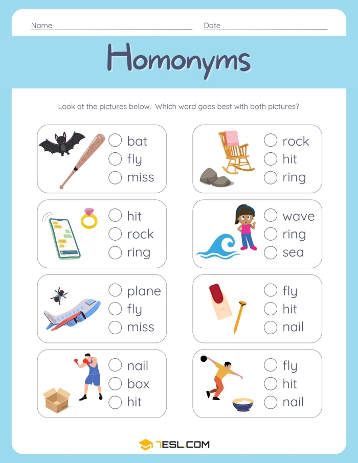 Multiple meaning words worksheet designed for third graders to explore homonyms using context clues