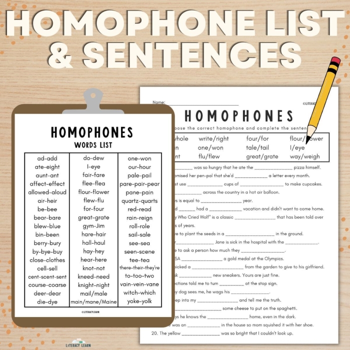 Homophone Story Worksheet featuring a fun monster tale for third graders