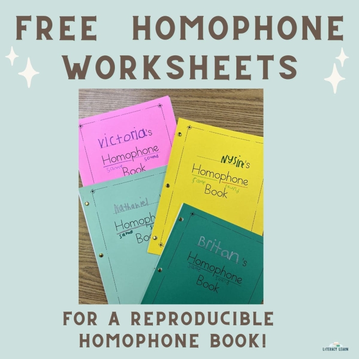 A colorful homophone story worksheet featuring a fun monster theme for third graders