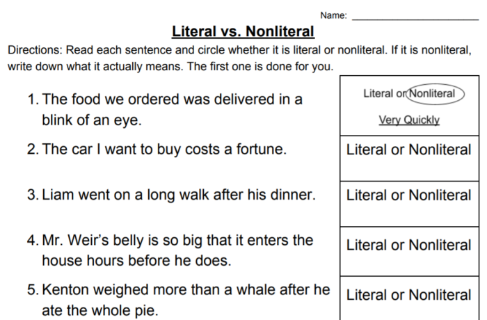Worksheet for understanding idioms through literal and nonliteral contexts. Idioms: Explaining Literal and Nonliteral Language worksheet for third graders.