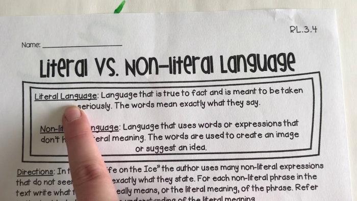 Worksheet focusing on idioms, helping third graders understand literal and nonliteral meanings. Idioms: Explaining Literal and Nonliteral Language worksheet for third grade learners.