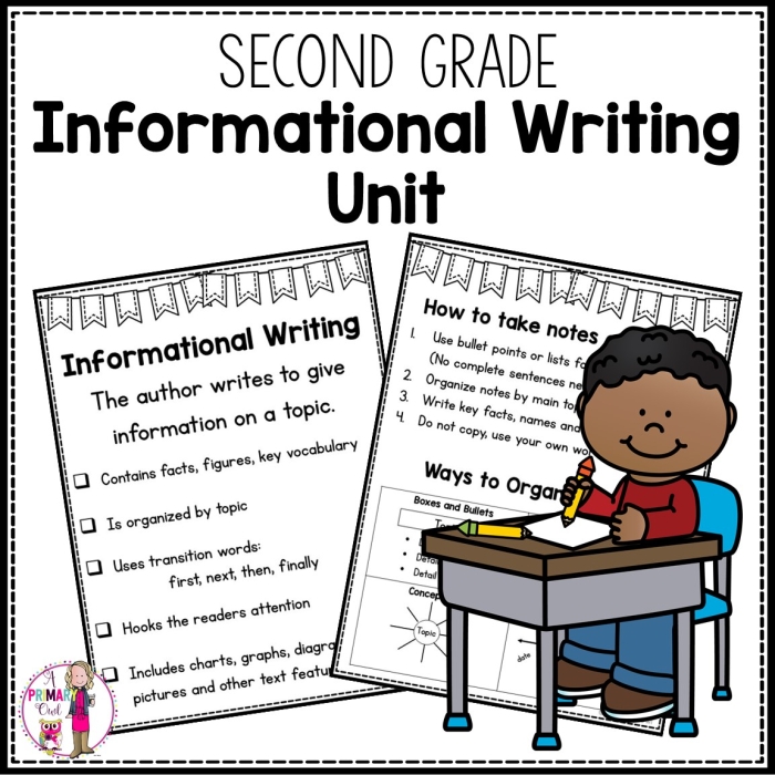 Third grade student using an informational writing graphic organizer to outline essay topics and supporting details