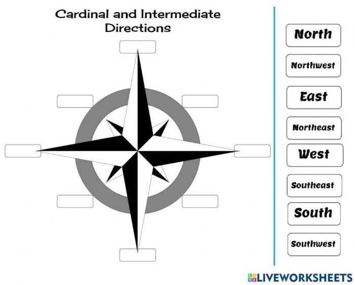 Worksheet featuring a fun activity for third graders to learn intermediate directions like northeast and southwest