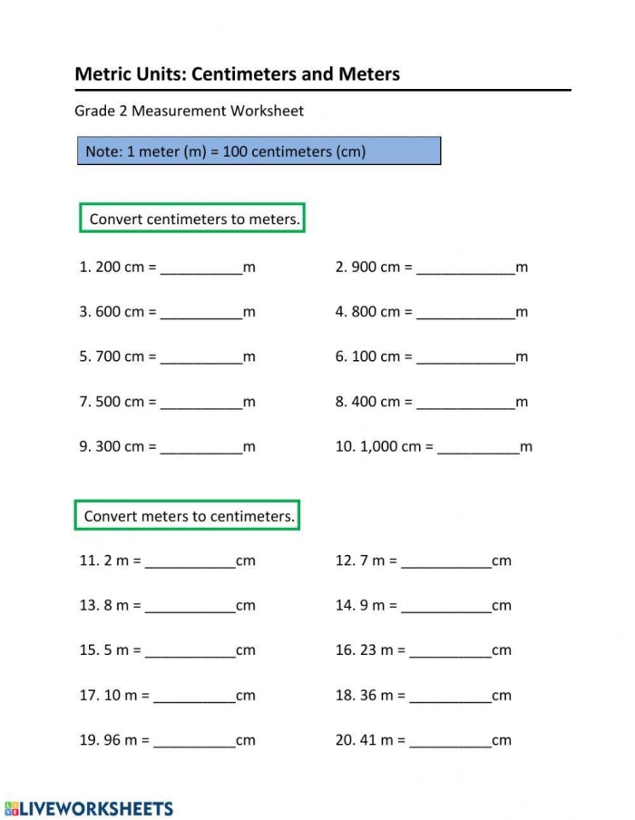 Worksheet featuring a metric conversion chart for third graders to learn about metric length