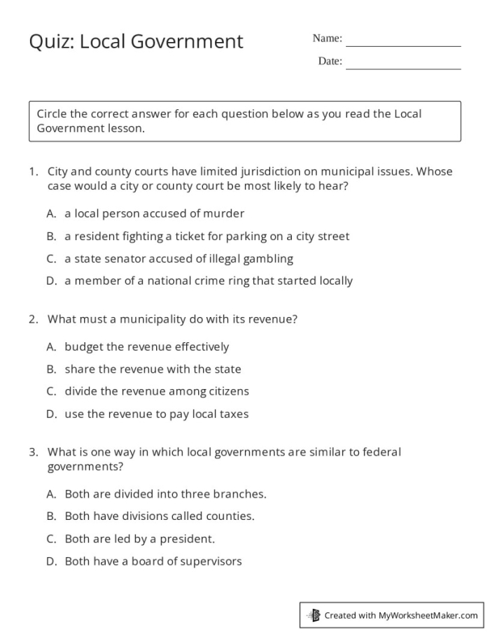Local Government Worksheet 12 Municipalities Basics Third grade student filling out a local government worksheet about municipalities