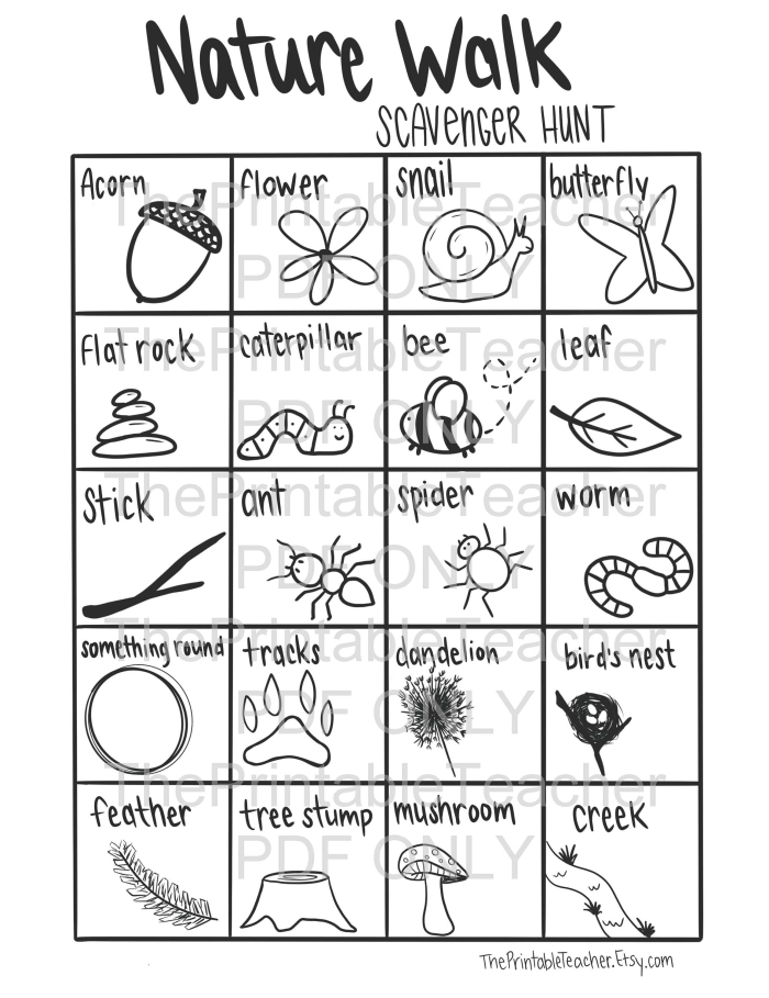 Third grade worksheet prompting students to document their nature walk observations through writing and drawing