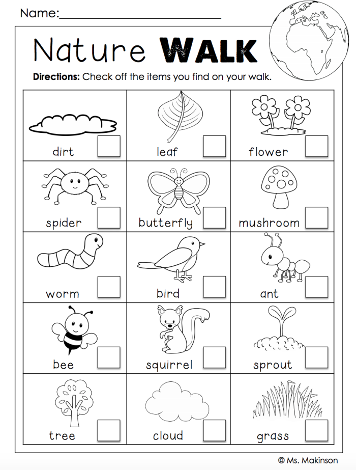 Worksheet for taking a nature walk, with prompts for observations of flora and fauna. Take a Nature Walk Worksheet for third-grade addition activities.