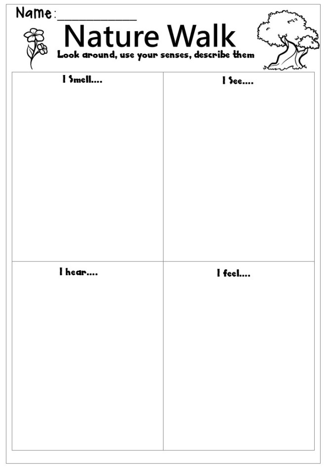 Worksheet featuring prompts for a nature walk, designed for third graders to observe and document their findings. Take a Nature Walk worksheet for engaging observation and addition activities.