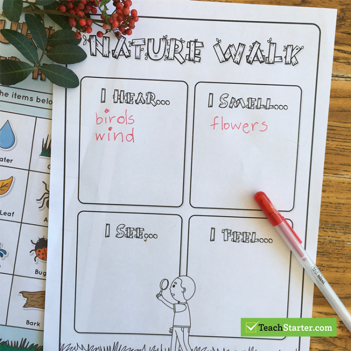 Worksheet encouraging third graders to document their nature walk observations through writing and drawing. Take a Nature Walk worksheet for engaging addition activities in the great outdoors.