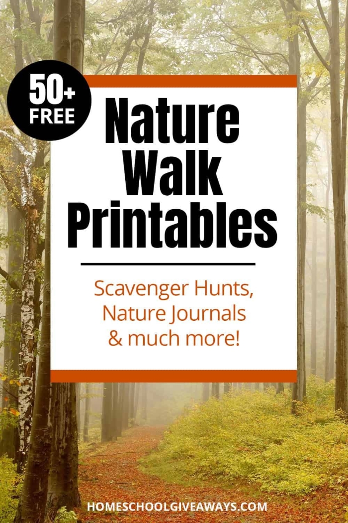Worksheet for third graders to document observations during a nature walk, including plants and animals. Take a Nature Walk worksheet for addition activities and observation prompts.