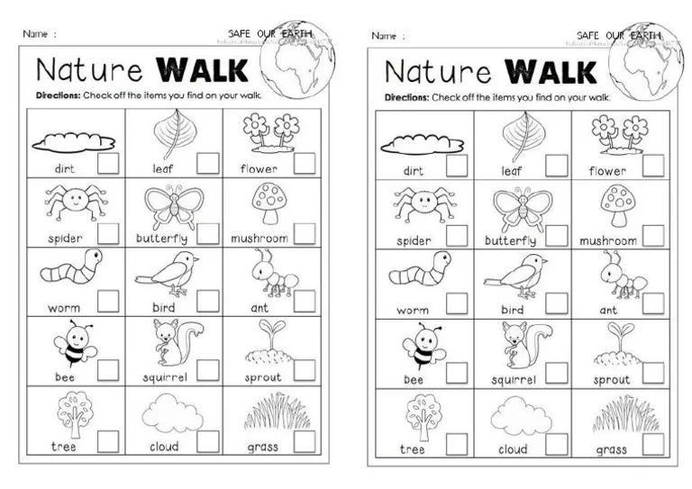 Worksheet for third graders to document their nature walk observations, including plants and animals. Take a Nature Walk worksheet for addition activities in third grade.