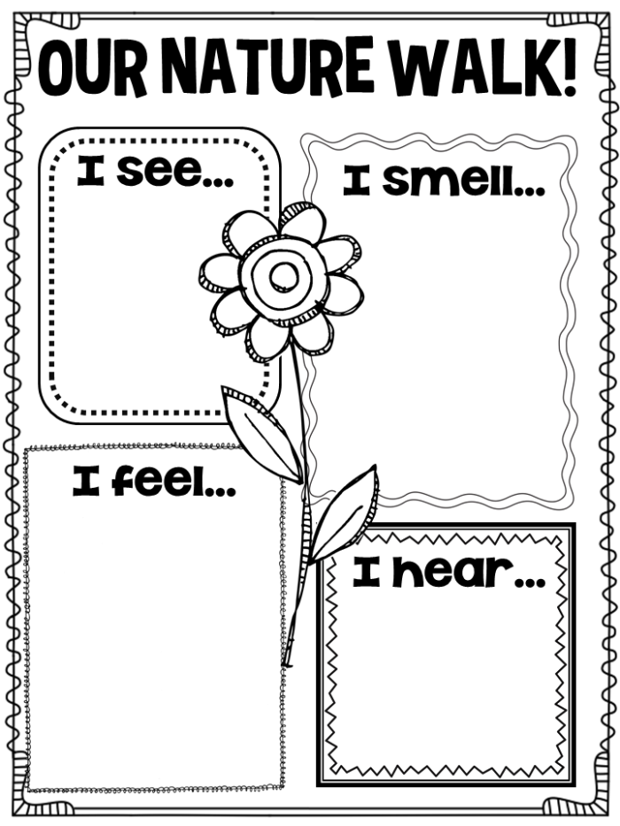 Worksheet for taking a nature walk, featuring prompts for observations of wildlife and plants. Take a Nature Walk worksheet for third graders to explore and document their findings.