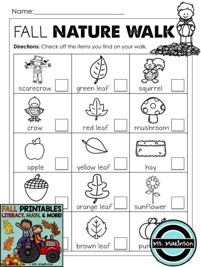 Third grade worksheet for taking a nature walk, featuring prompts for observations of wildlife and plants