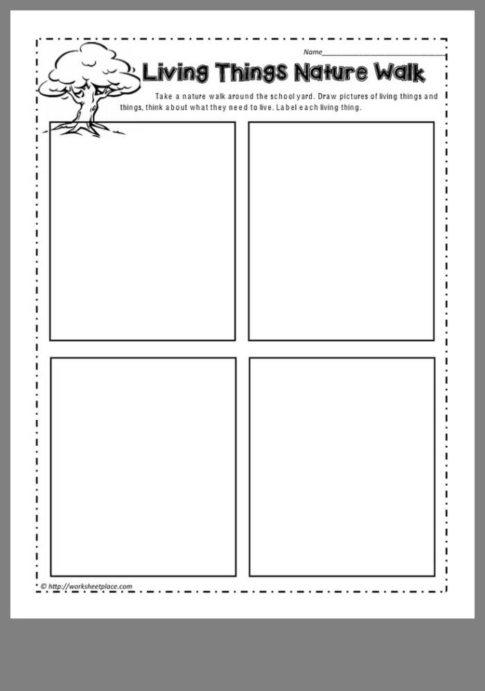 Third-grade worksheet for taking a nature walk, featuring prompts for observing plants and animals