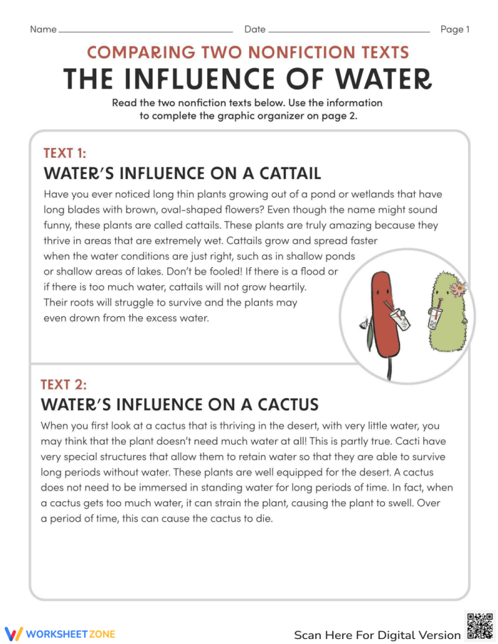 Worksheet featuring a comparison of two nonfiction texts for third graders