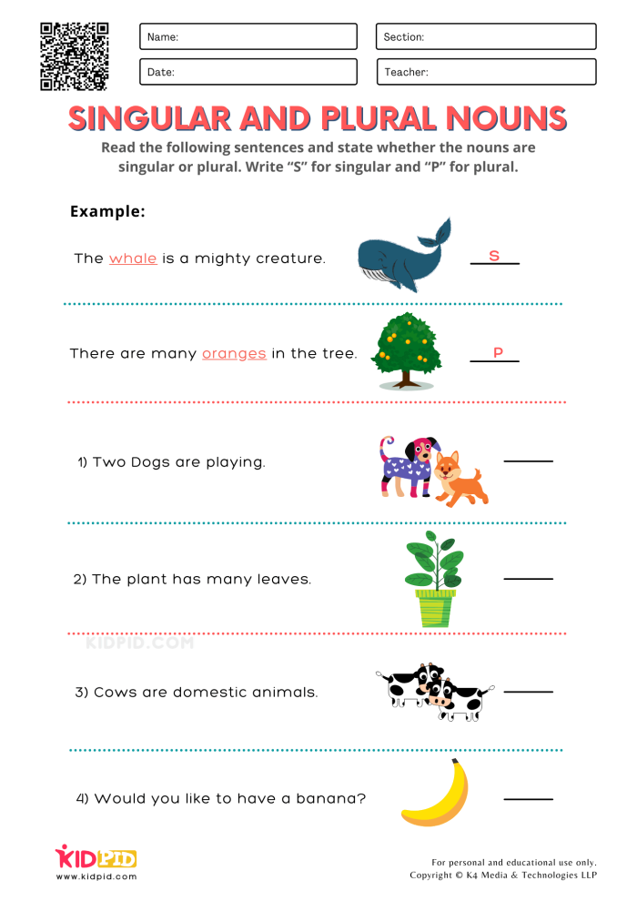 Worksheet showing examples of singular and plural nouns for third graders