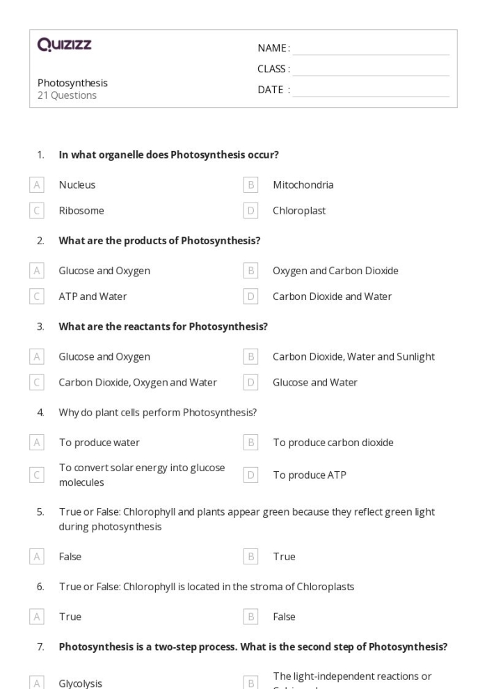 Third-grade student enjoying a photosynthesis crossword worksheet