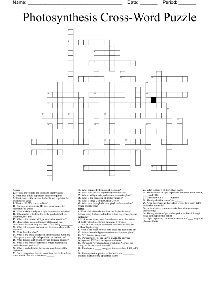 Life Science Crossword worksheet focusing on photosynthesis for third graders