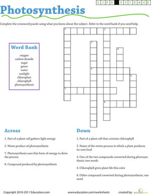 Life Science Crossword puzzle focused on photosynthesis for third graders