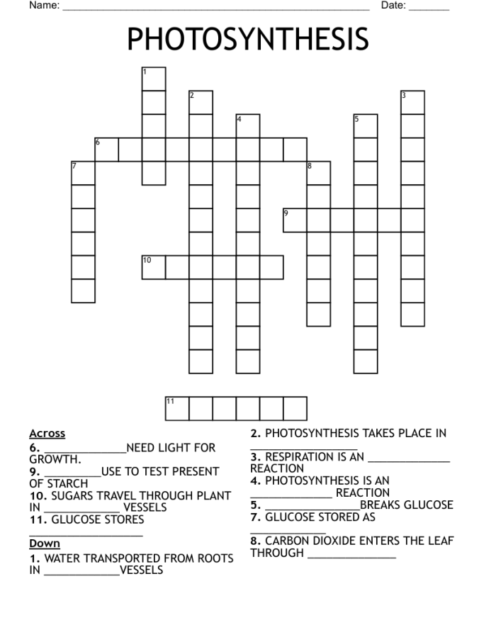 Life Science Crossword worksheet focused on photosynthesis for third graders