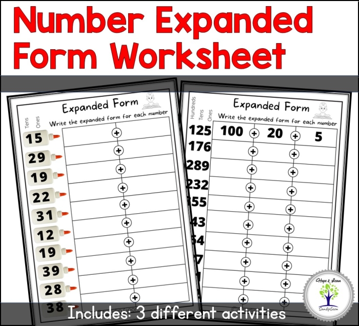 Place Value Expanded Form Learning Activity for Elementary Students Third grade place value and expanded form practice worksheet showing number decomposition exercises with place value columns