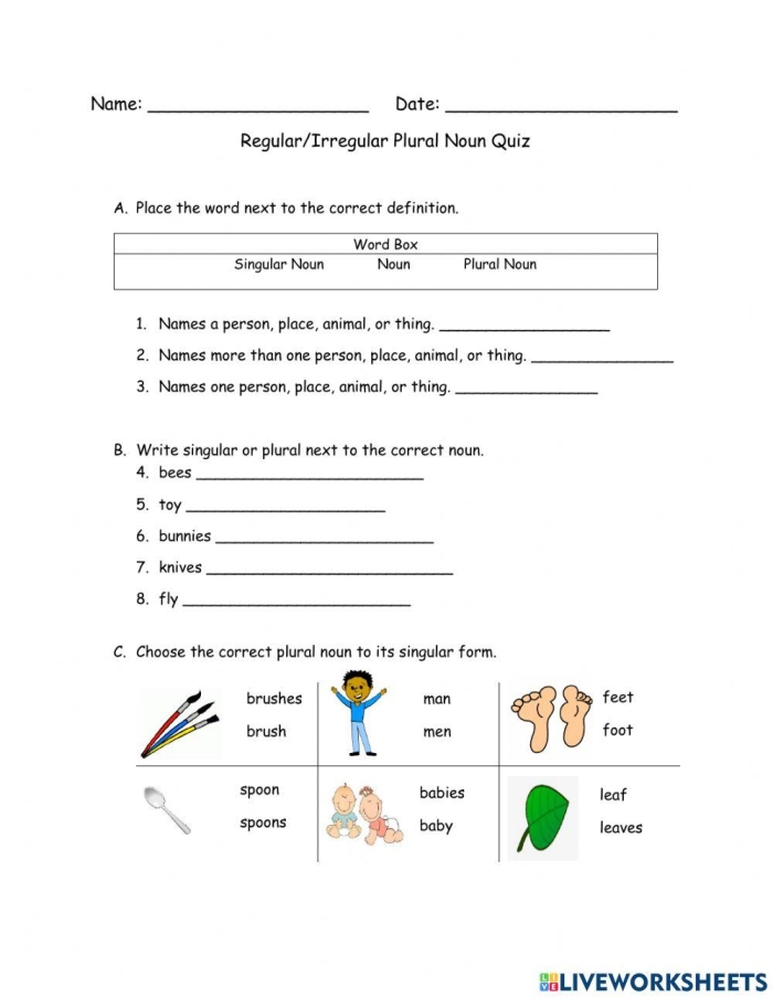 Plural Nouns Practice Worksheet for 3rd Grade Students Image 3 Third grade grammar worksheet featuring practice exercises for forming plural nouns