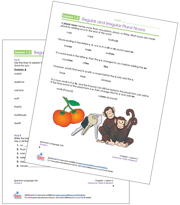 Plural Nouns Worksheet Number 13 for Third Grade English Practice Third grade student working on a plural nouns grammar worksheet to improve spelling skills