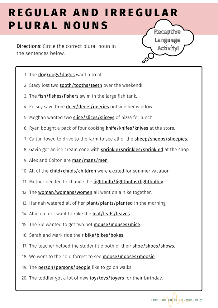 Educational resource to help children learn plural forms of nouns Worksheet for practicing plural nouns in third grade algebra