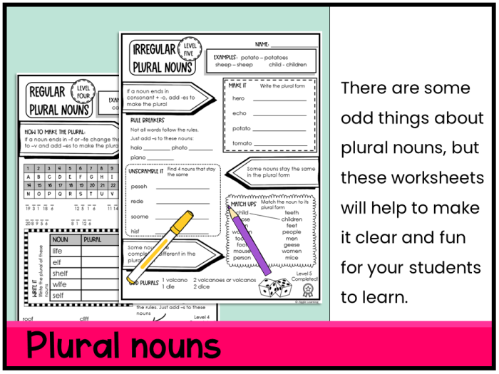Plural Nouns Worksheet Number Twenty for Third Grade English Practice Third grade student completing a plural nouns worksheet to improve grammar skills