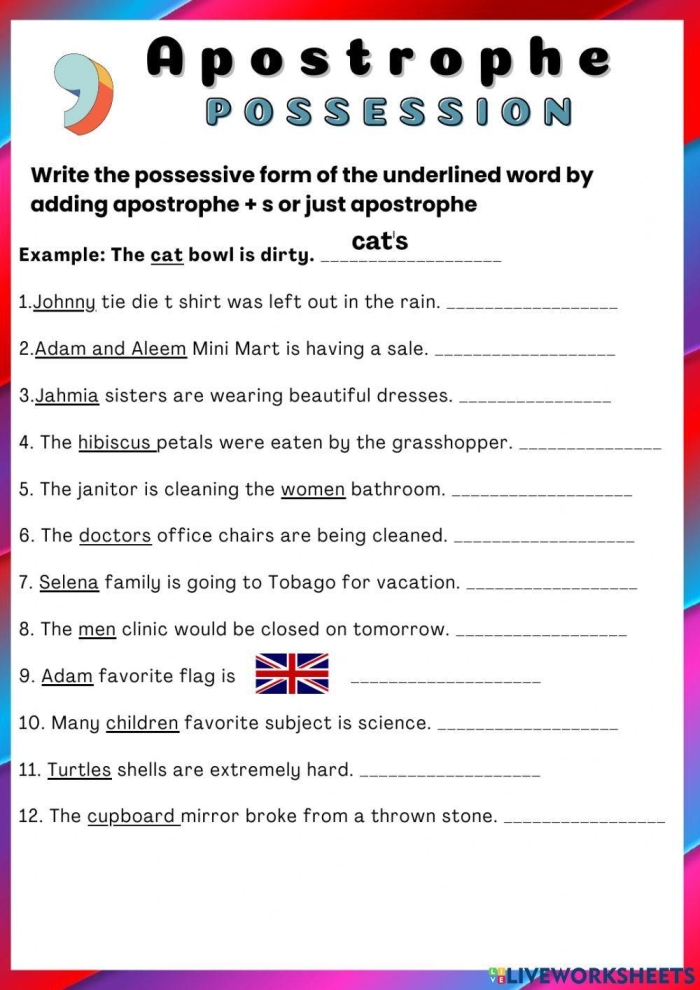 Third grade phonics worksheet focusing on the correct placement of possessive apostrophes in plural and singular nouns
