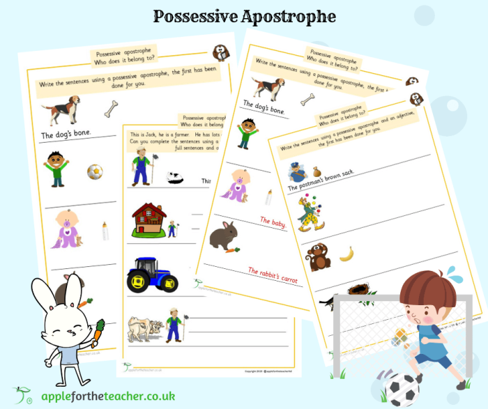 Third grade worksheet featuring exercises on using possessive apostrophes in plural and singular nouns