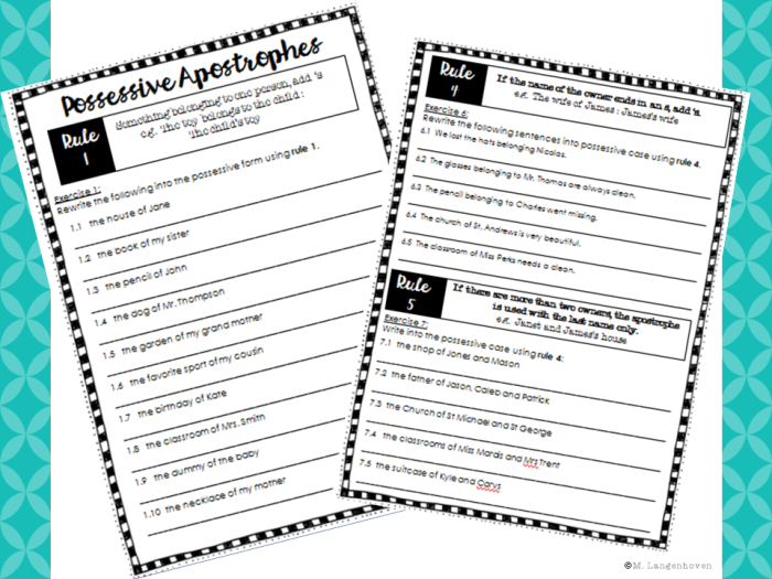 Third grade possessive apostrophe worksheet example showing correct placement in singular and plural nouns like womens hats
