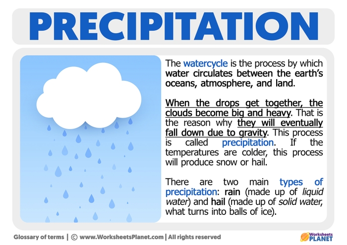 Third grade worksheet showing the water cycle precipitation phase with a matching activity for students