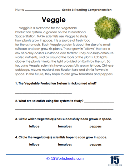 Engaging reading comprehension activity for grade 3 students Worksheet for third graders focused on reading comprehension titled "The Ice Cream Disaster