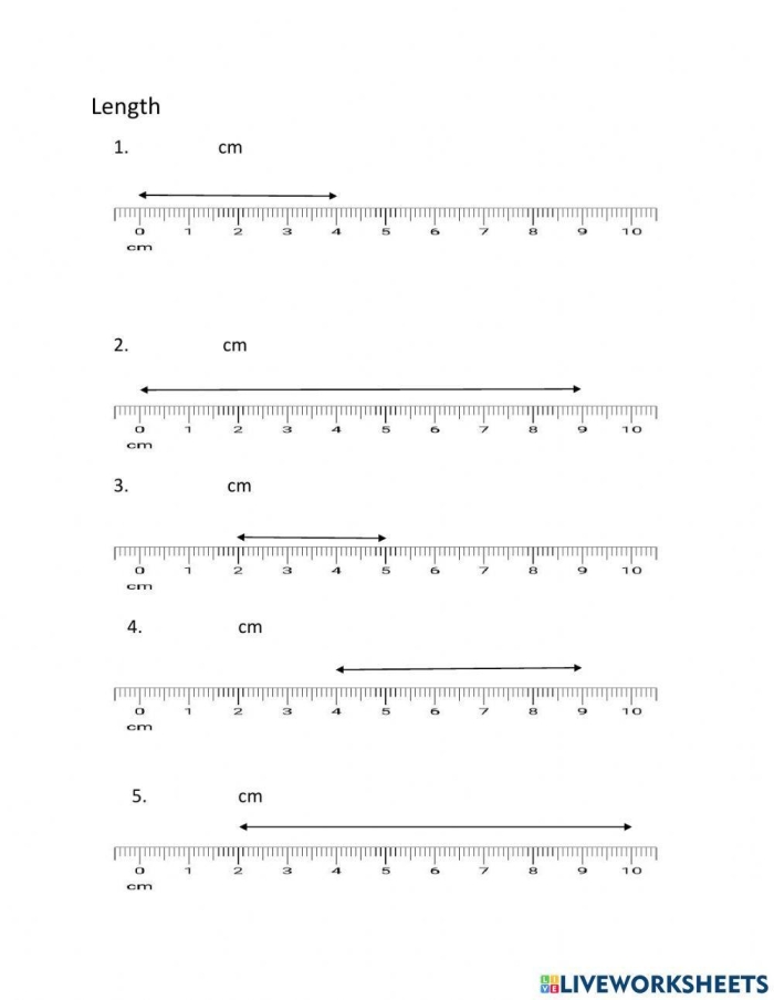 Engaging printable for third graders to measure in feet or inches Practice Reading Lengths worksheet featuring fun images for measurement practice