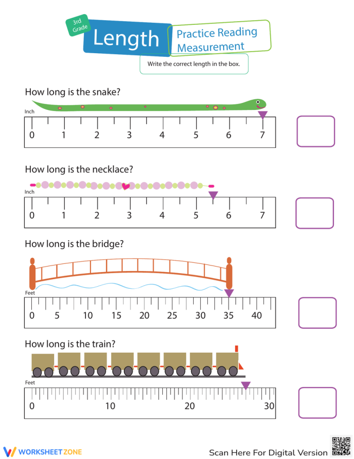 Third grade measurement worksheet for practicing lengths in feet and inches Practice Reading Lengths worksheet featuring fun images for measurement exercises