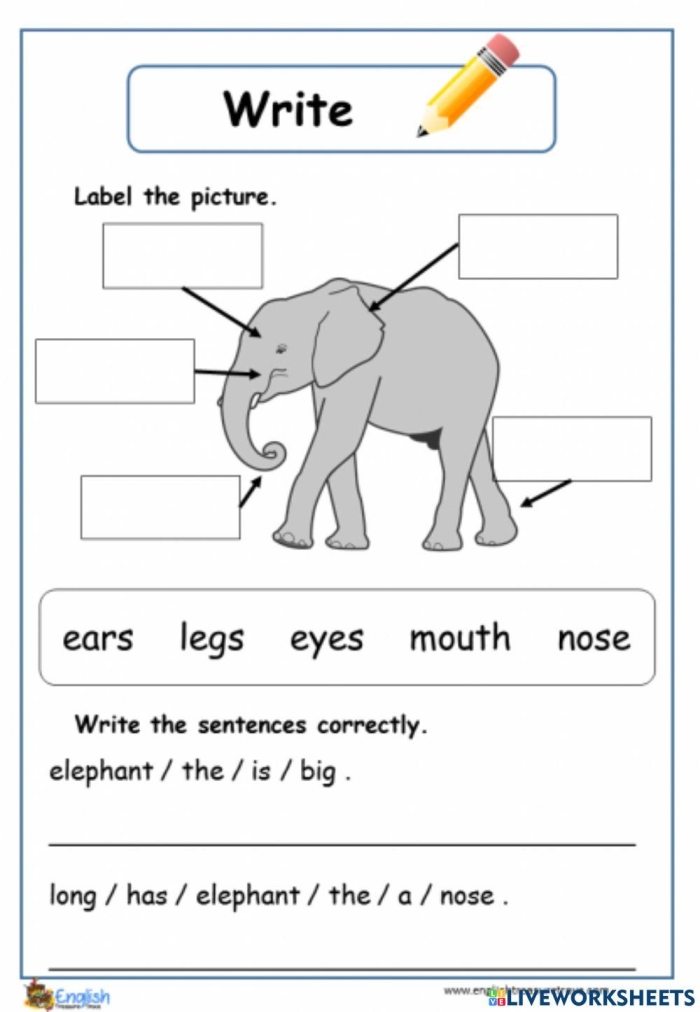 Worksheet for "The Elephant's Child" to enhance reading skills in third graders