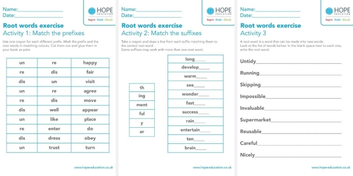 Worksheet featuring a word search puzzle focused on identifying root words for third graders