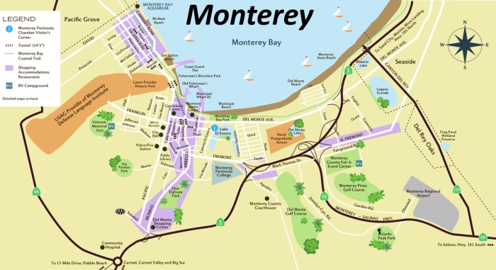 Third grade reading comprehension worksheet featuring sea life facts about Monterey California