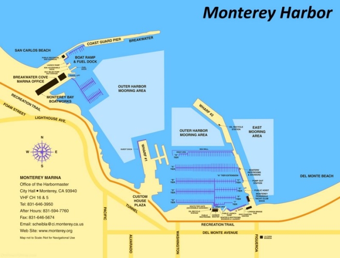 Third grade reading comprehension worksheet about sea life in Monterey California