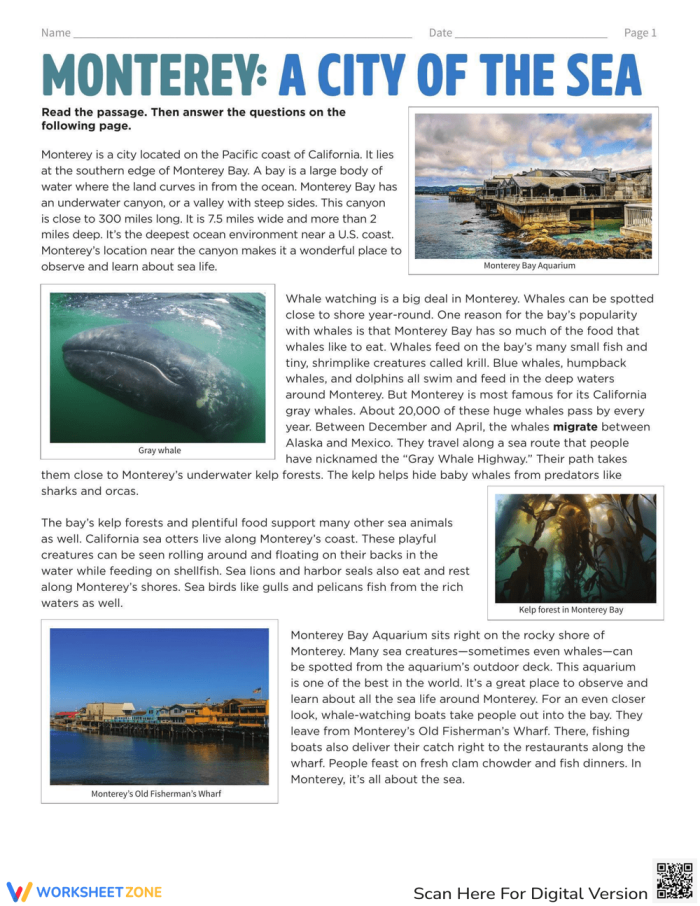 Third grade reading comprehension worksheet about sea life in Monterey California