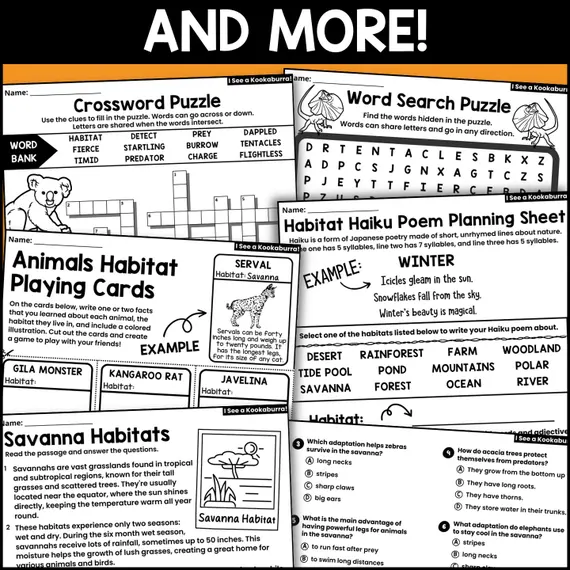 Third grade printable worksheet featuring a full set of playing cards with seasonal symbols instead of traditional suits