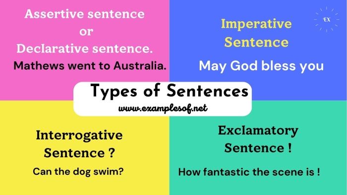 Colorful worksheet illustrating declarative, interrogative, imperative, and exclamatory sentences for third graders