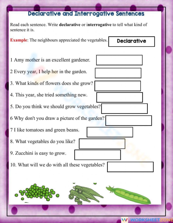 Worksheet illustrating the four types of sentences: declarative, interrogative, imperative, and exclamatory for third graders. Handy reference sheet for students to learn and remember sentence structures.