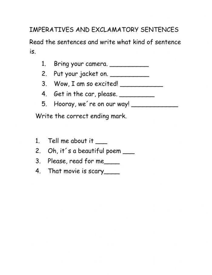 Handout showcasing the four types of sentences: declarative, interrogative, imperative, and exclamatory for third graders